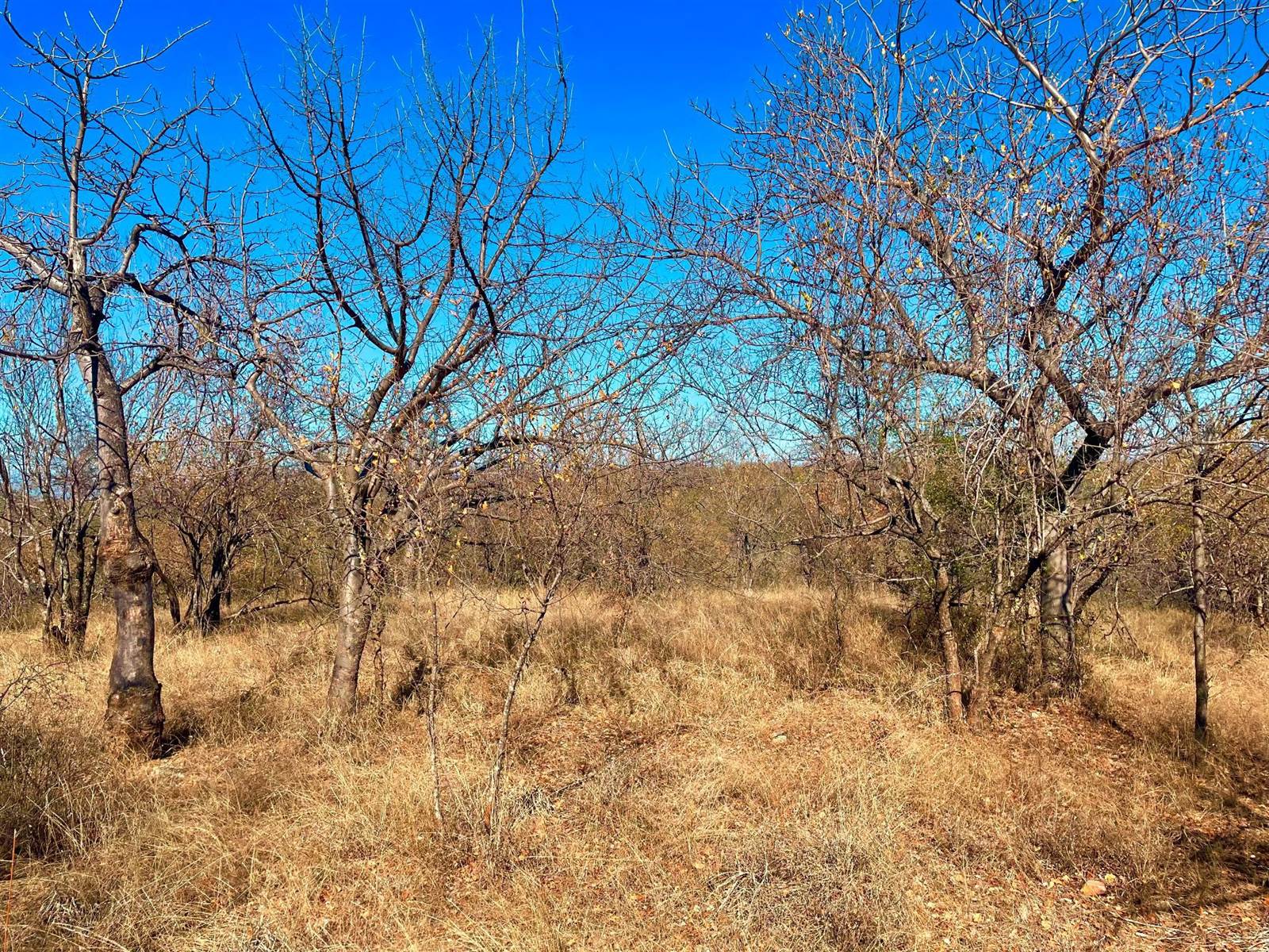 2572 m² Land available in Elephant Rock Eco Estate photo number 7
