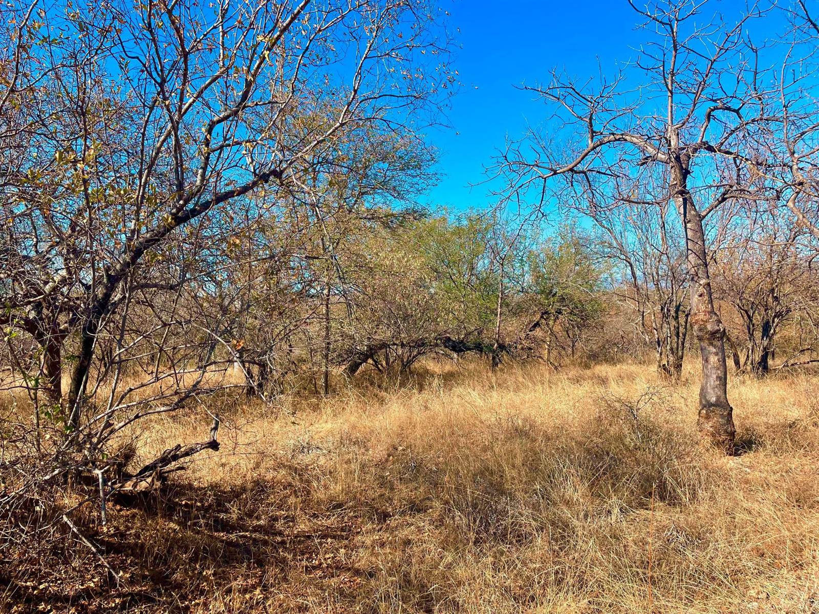 2572 m² Land available in Elephant Rock Eco Estate photo number 6