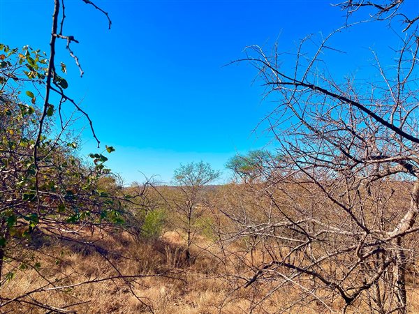 2572 m² Land available in Elephant Rock Eco Estate