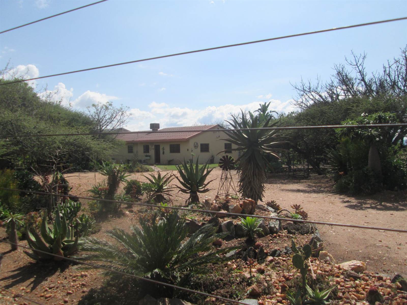 8.6 ha Smallholding in Polokwane Central photo number 20