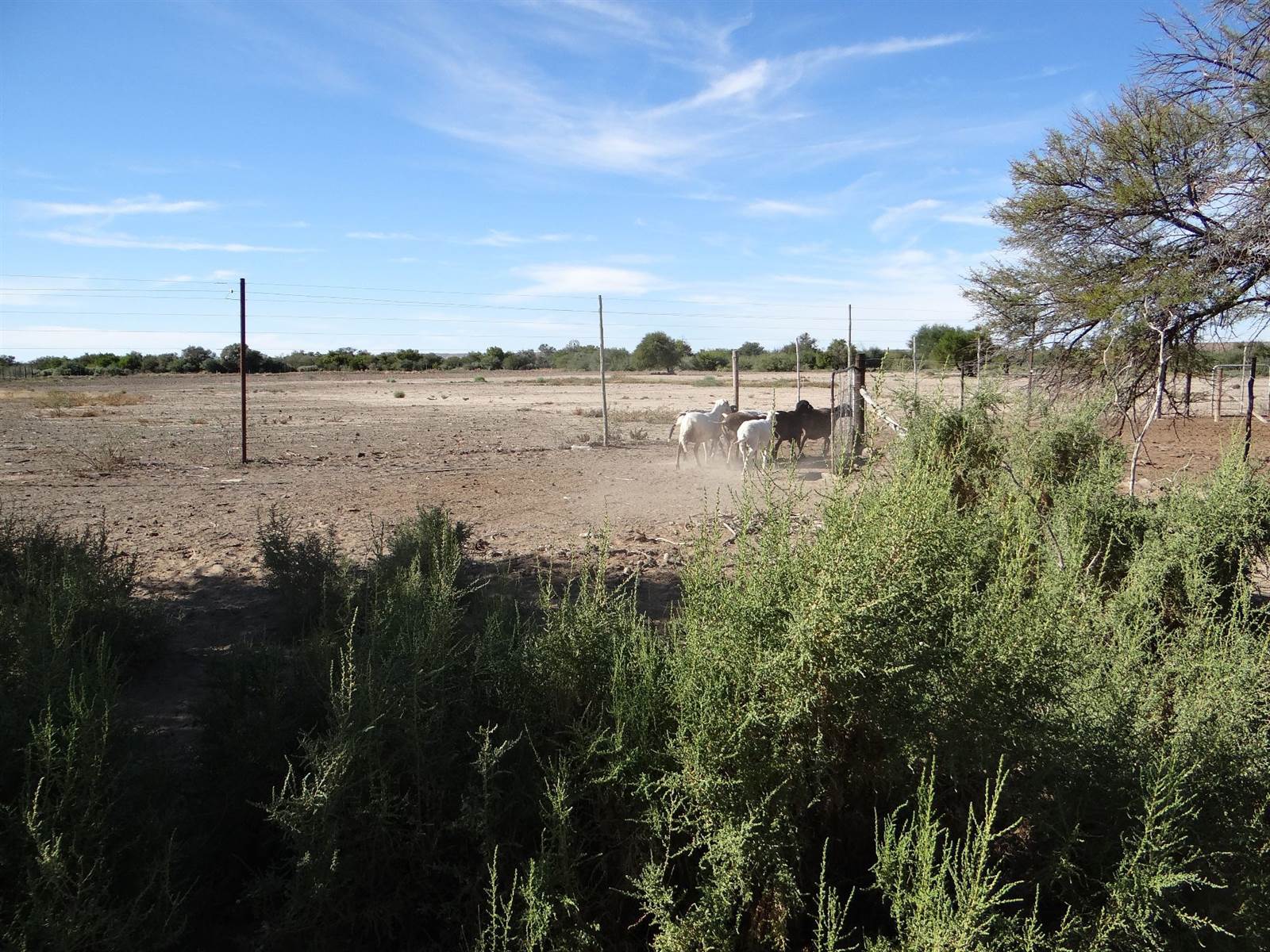 192 ha Farm in Beaufort West photo number 15