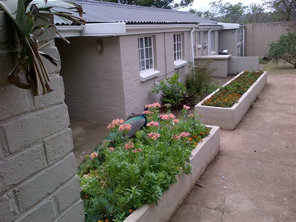 1 Bedroom Flat 1 Bedroom Flat