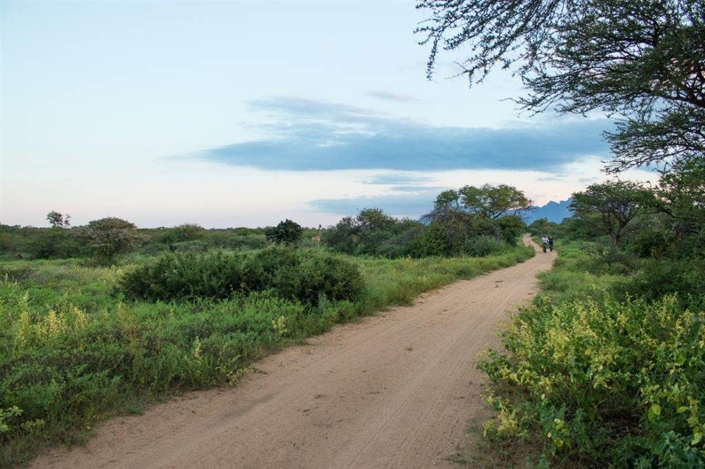 1.1 ha Land available in Hoedspruit photo number 5