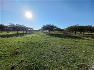 Farm in Empangeni Rail