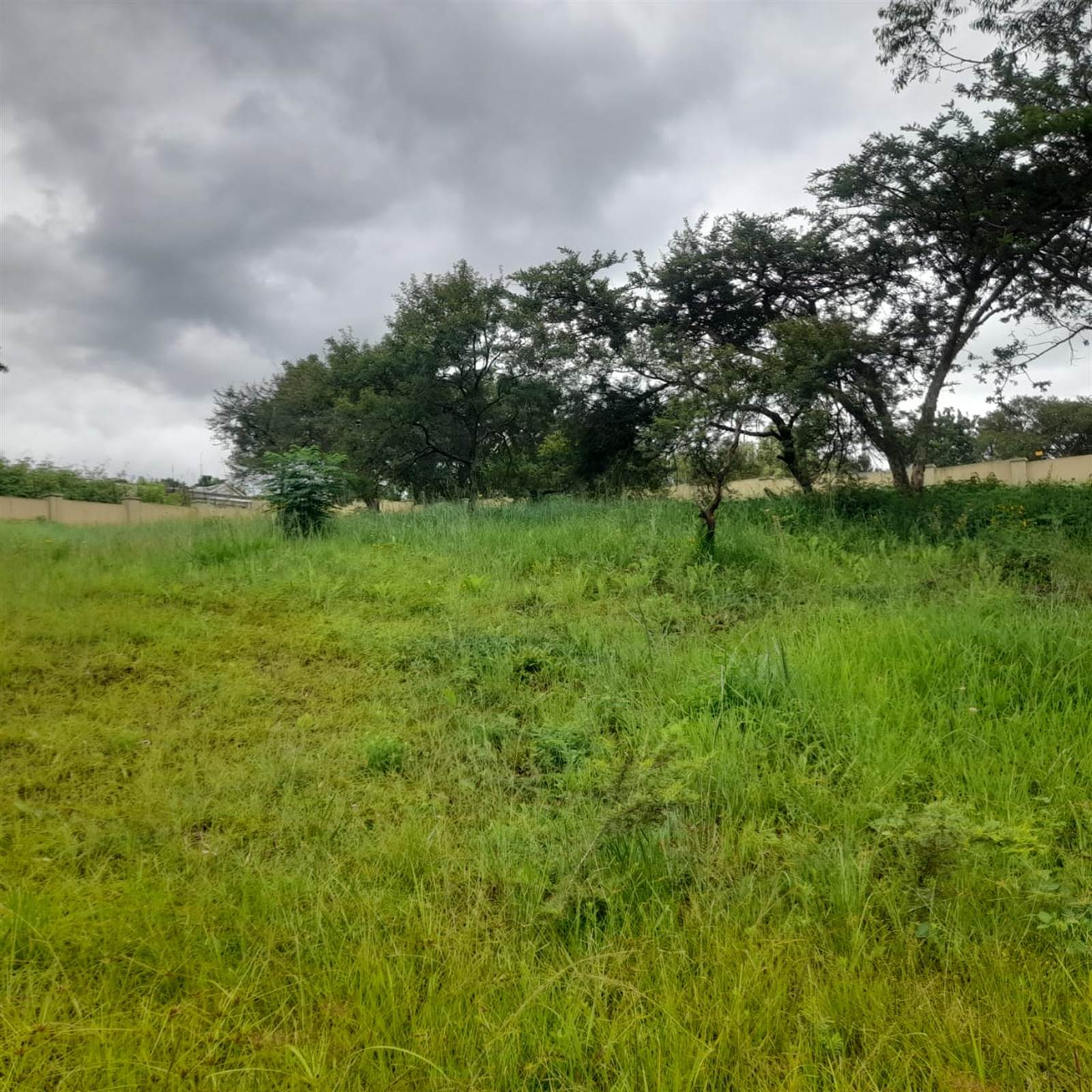 1950 m² Land available in Drum Rock photo number 4