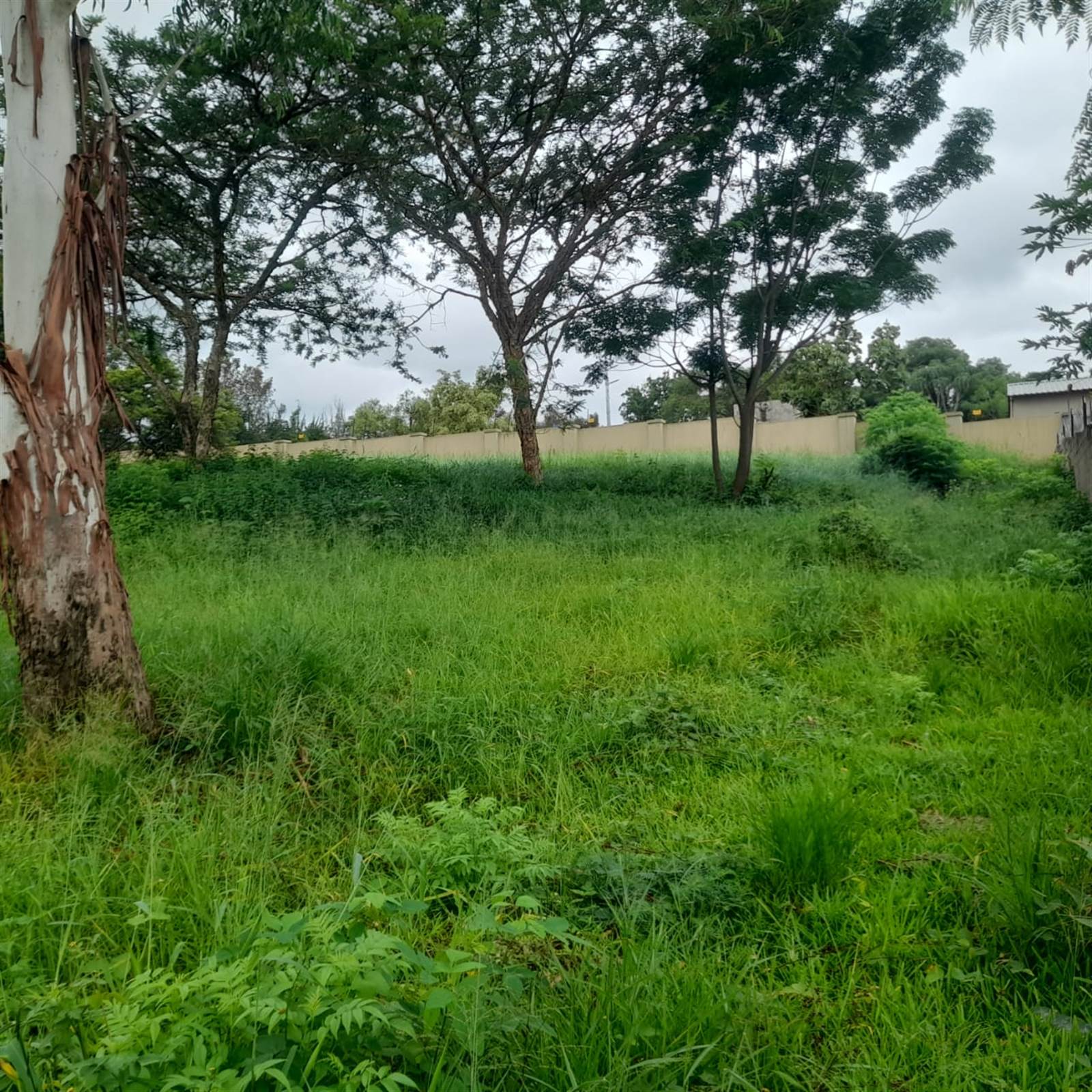 1950 m² Land available in Drum Rock photo number 9
