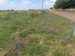 1000 m² Land available in Riversdale photo number 3