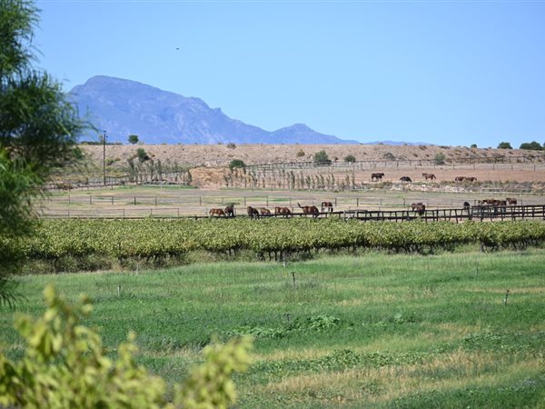63 ha Farm in Robertson