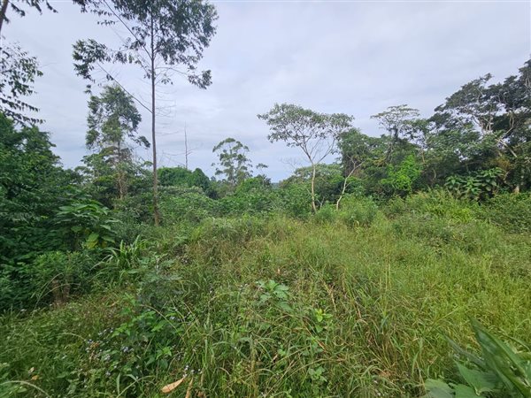 5 931 m² Land 5 931 m² Land