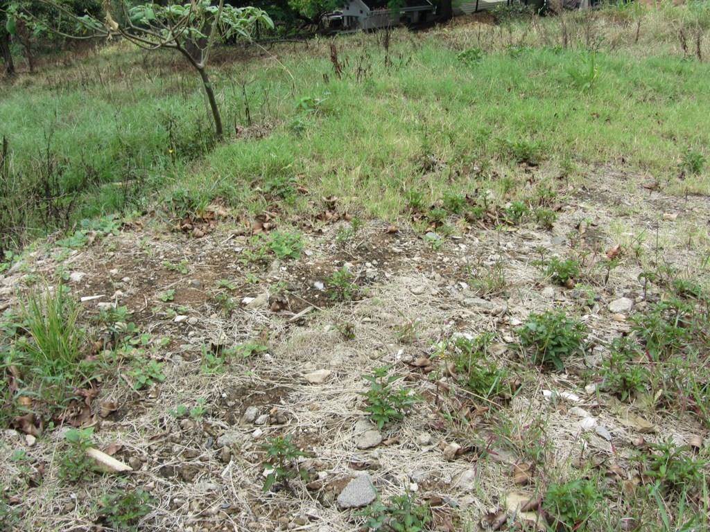 1.2 ha Land available in Shakaskraal photo number 5
