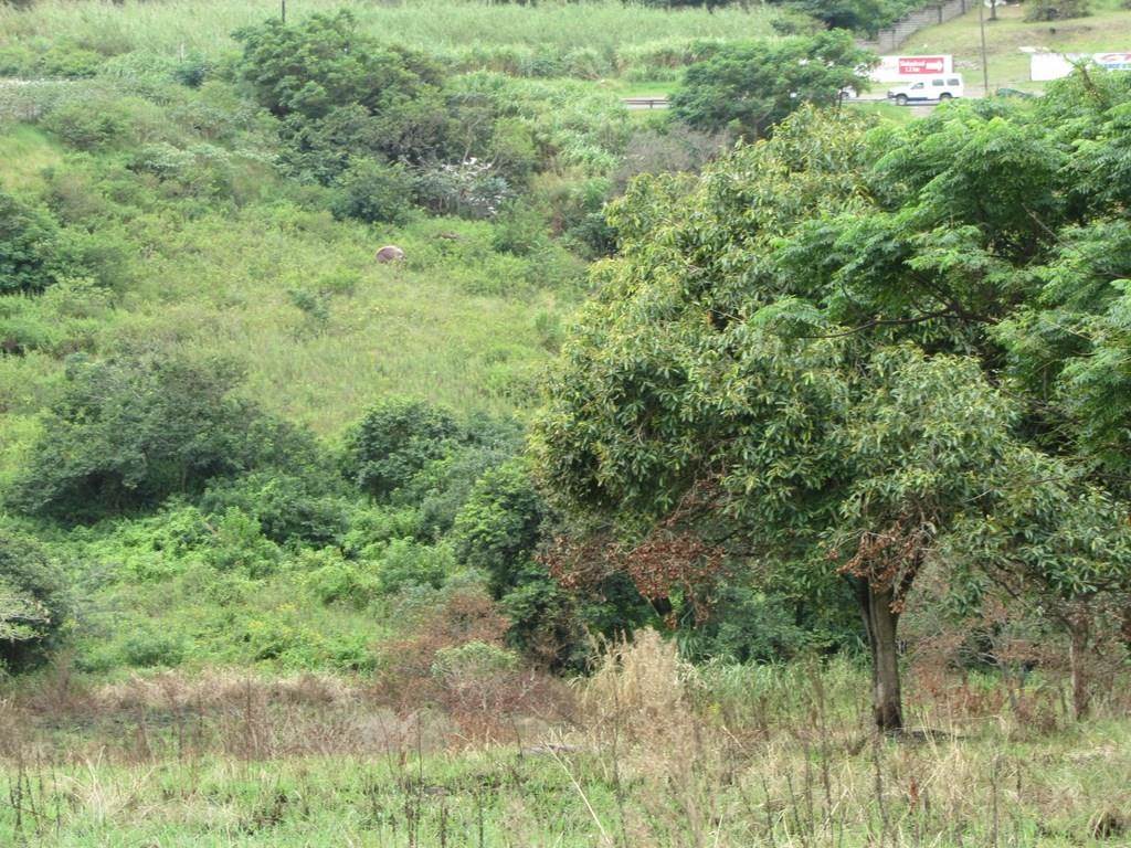 1.2 ha Land available in Shakaskraal photo number 2