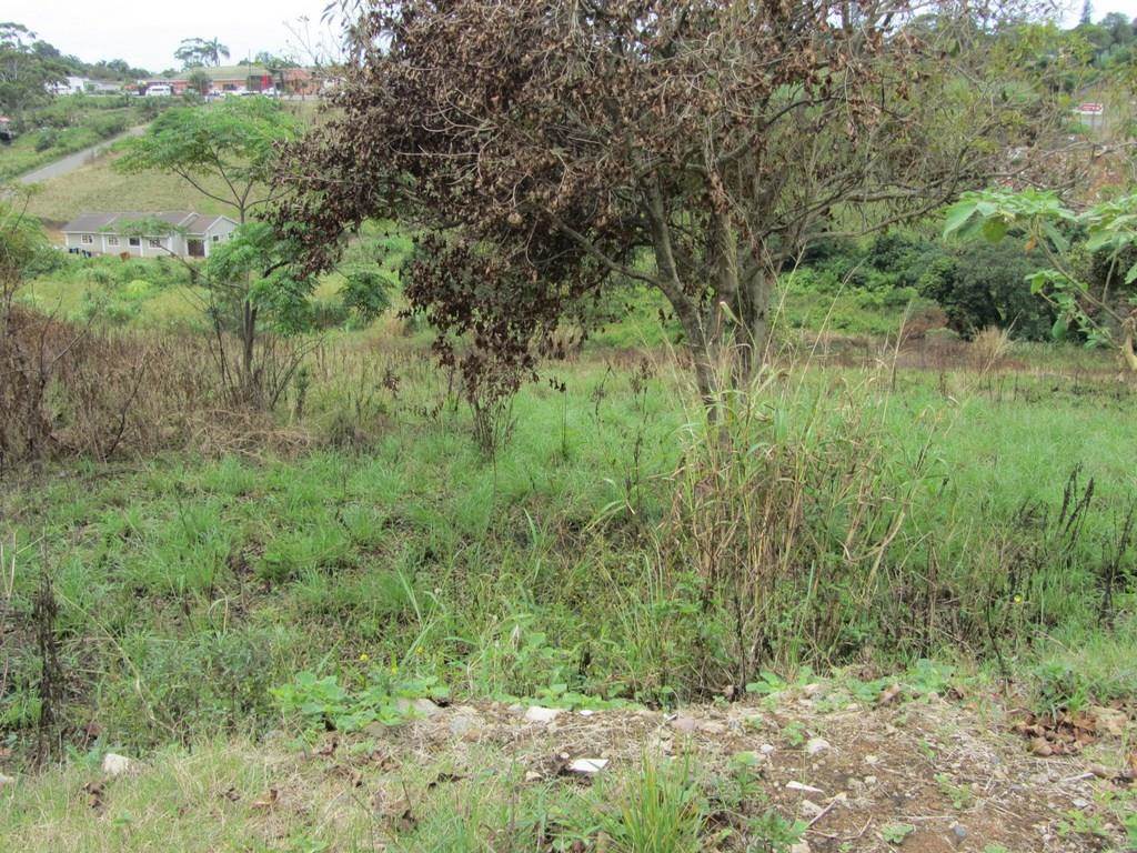 1.2 ha Land available in Shakaskraal photo number 4