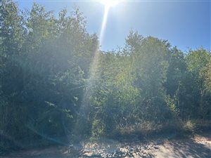 1708 m² Land available in Waterkloof Heights