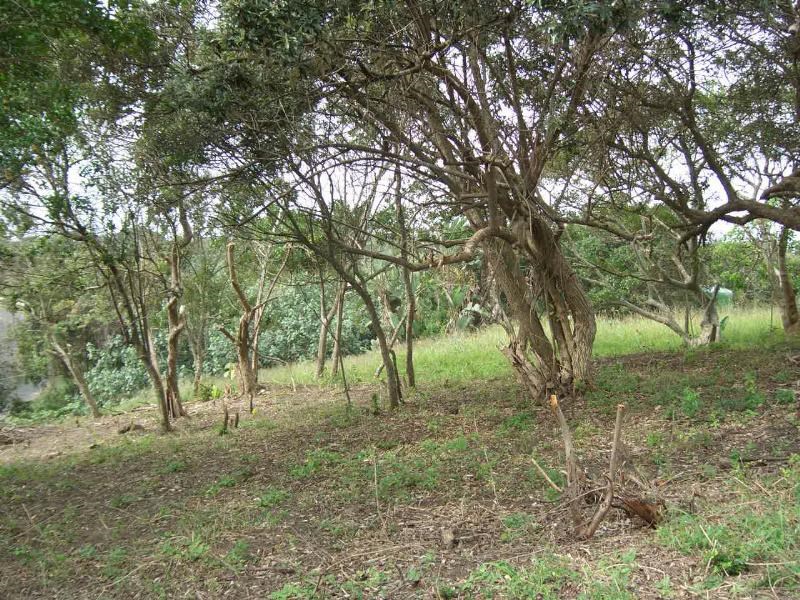 1737 m² Land available in Bazley Beach photo number 4