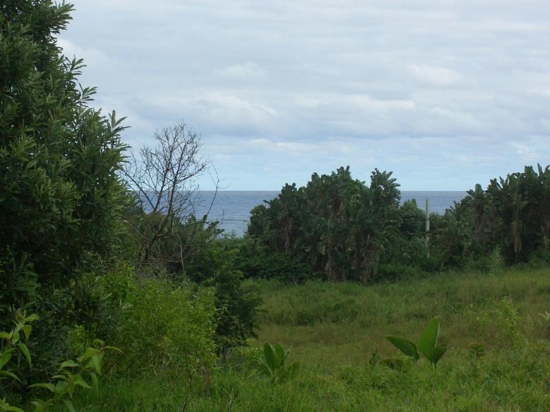 1737 m² Land available in Bazley Beach photo number 1