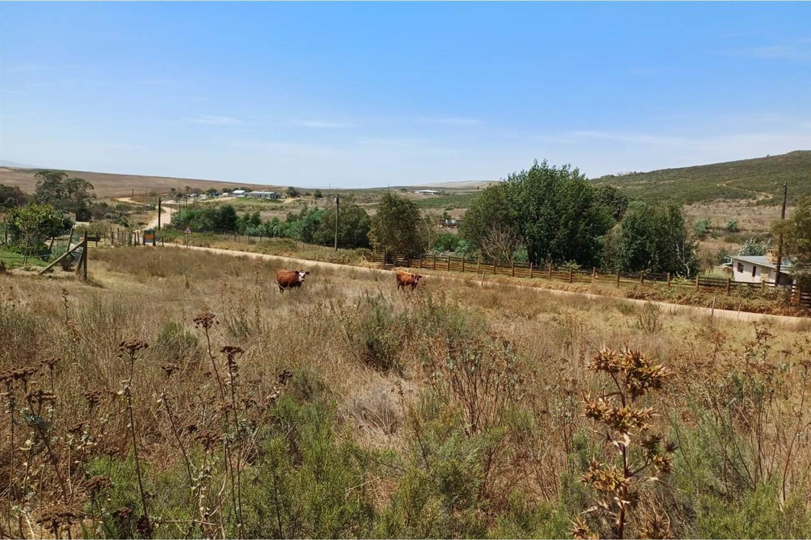 2791 m² Land available in Tesselaarsdal photo number 1