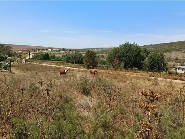 2791 m² Land available in Tesselaarsdal