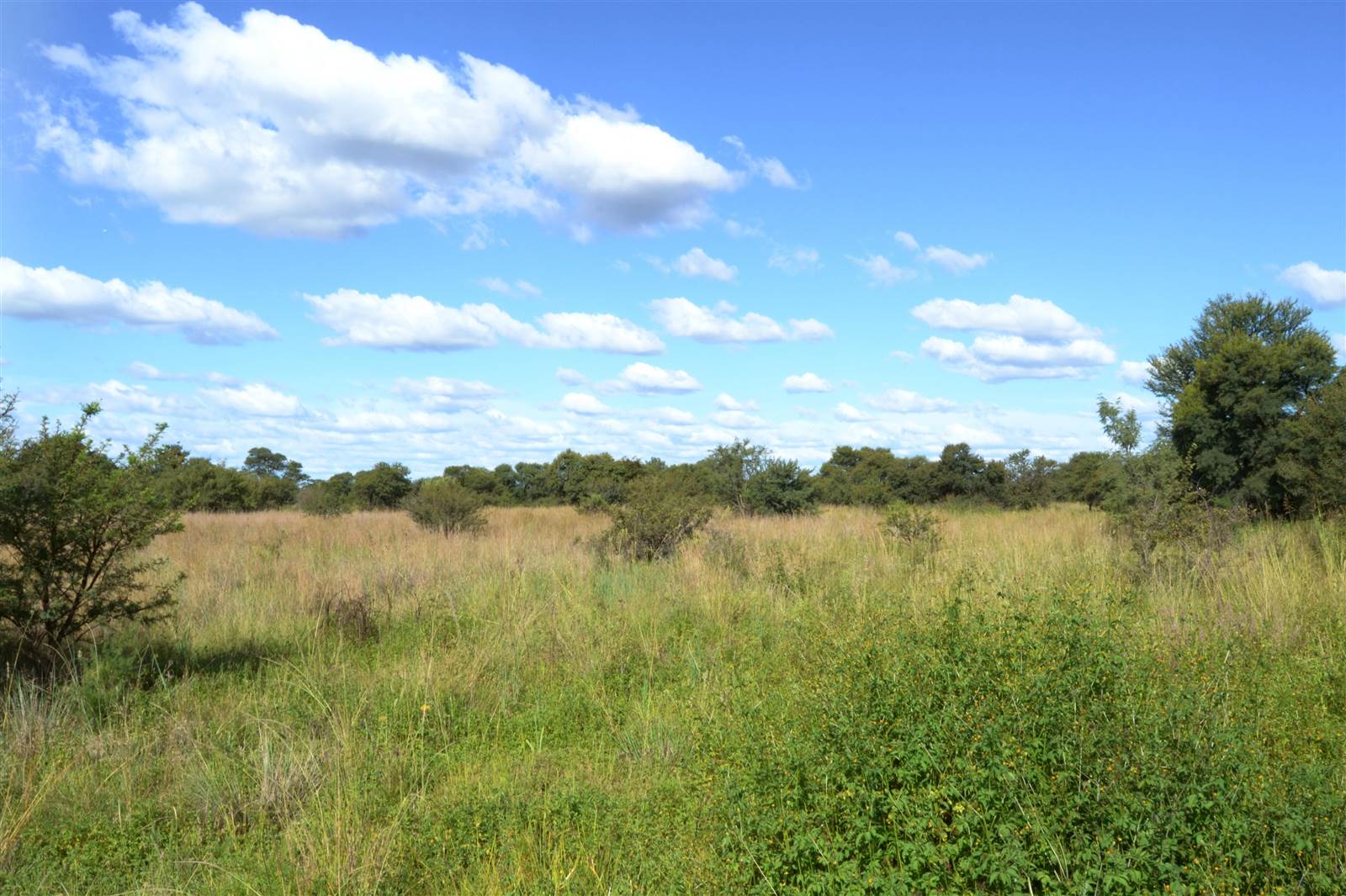 21 ha Land available in Cullinan and Surrounds photo number 3
