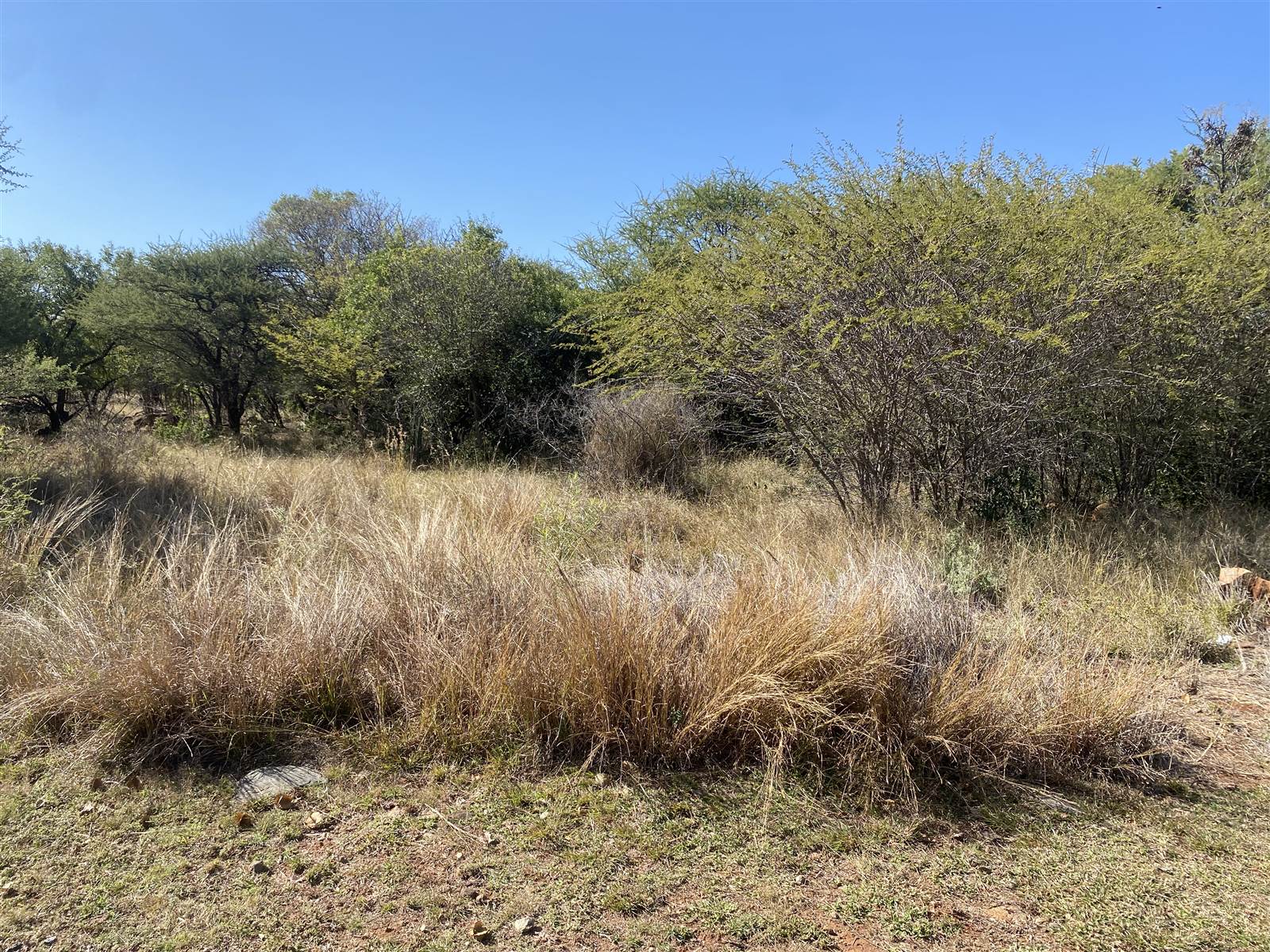 960 m² Land available in Seasons Lifestyle Estate photo number 7