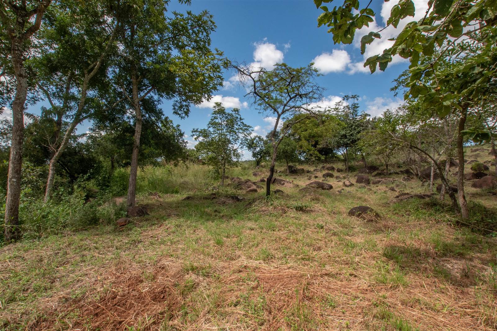 2360 m² Land available in The Rest Nature Estate photo number 7