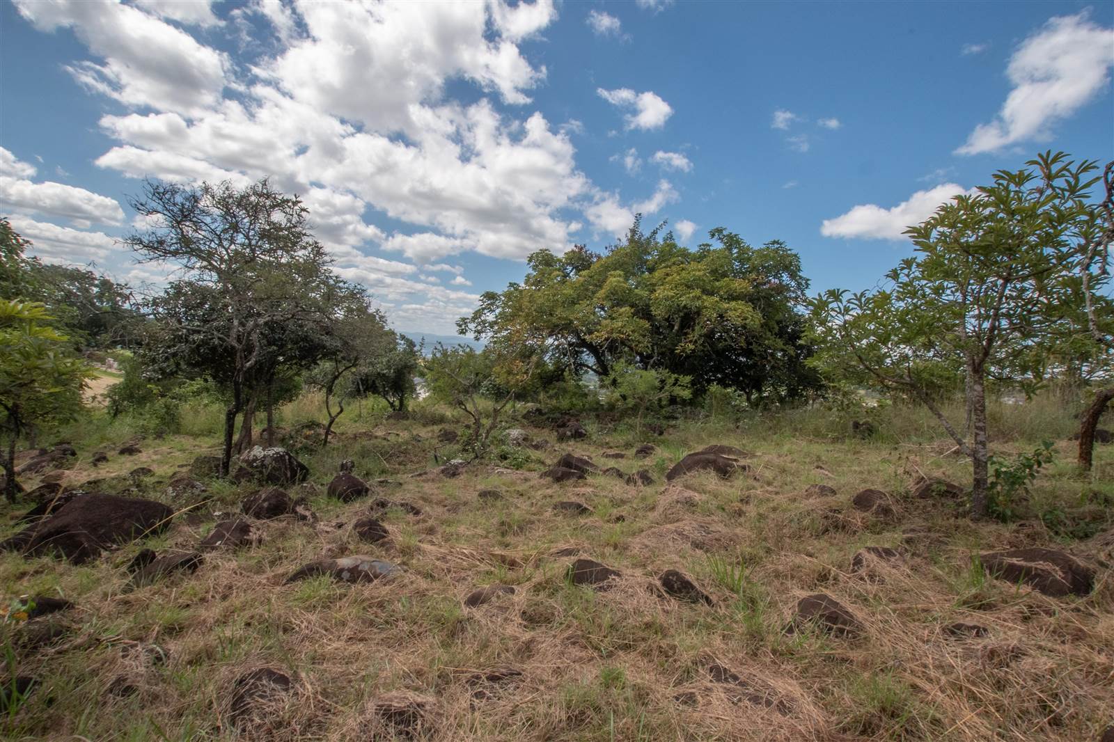 2360 m² Land available in The Rest Nature Estate photo number 17