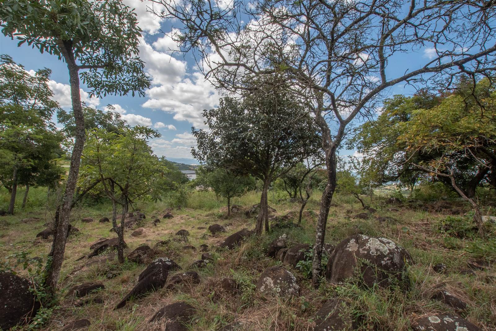 2360 m² Land available in The Rest Nature Estate photo number 19