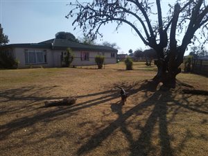 12141 ha Farm in Springs Central