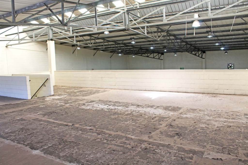 619  m² Industrial space in Asherville photo number 14