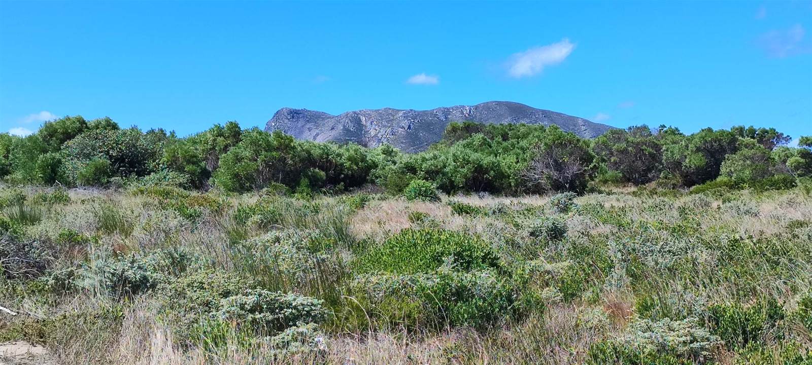 684 m² Land available in Kleinbaai photo number 7