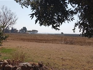 2.6 ha Smallholding in Bapsfontein