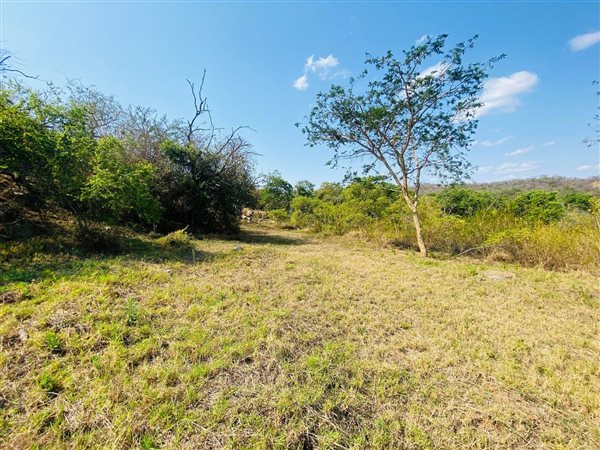 954 m² Land 954 m² Land