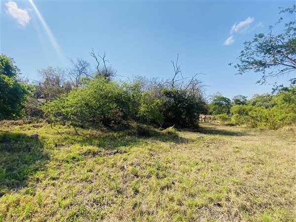 954 m² Land