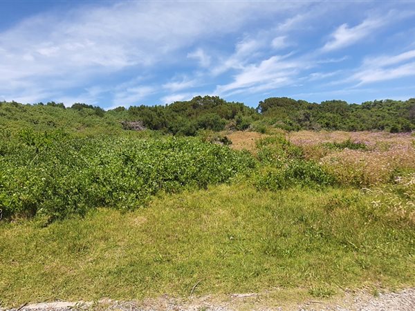 936 m² Land available in St Francis Bay