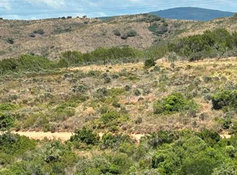 1500 m² Land available in Mossel Bay Central photo number 2