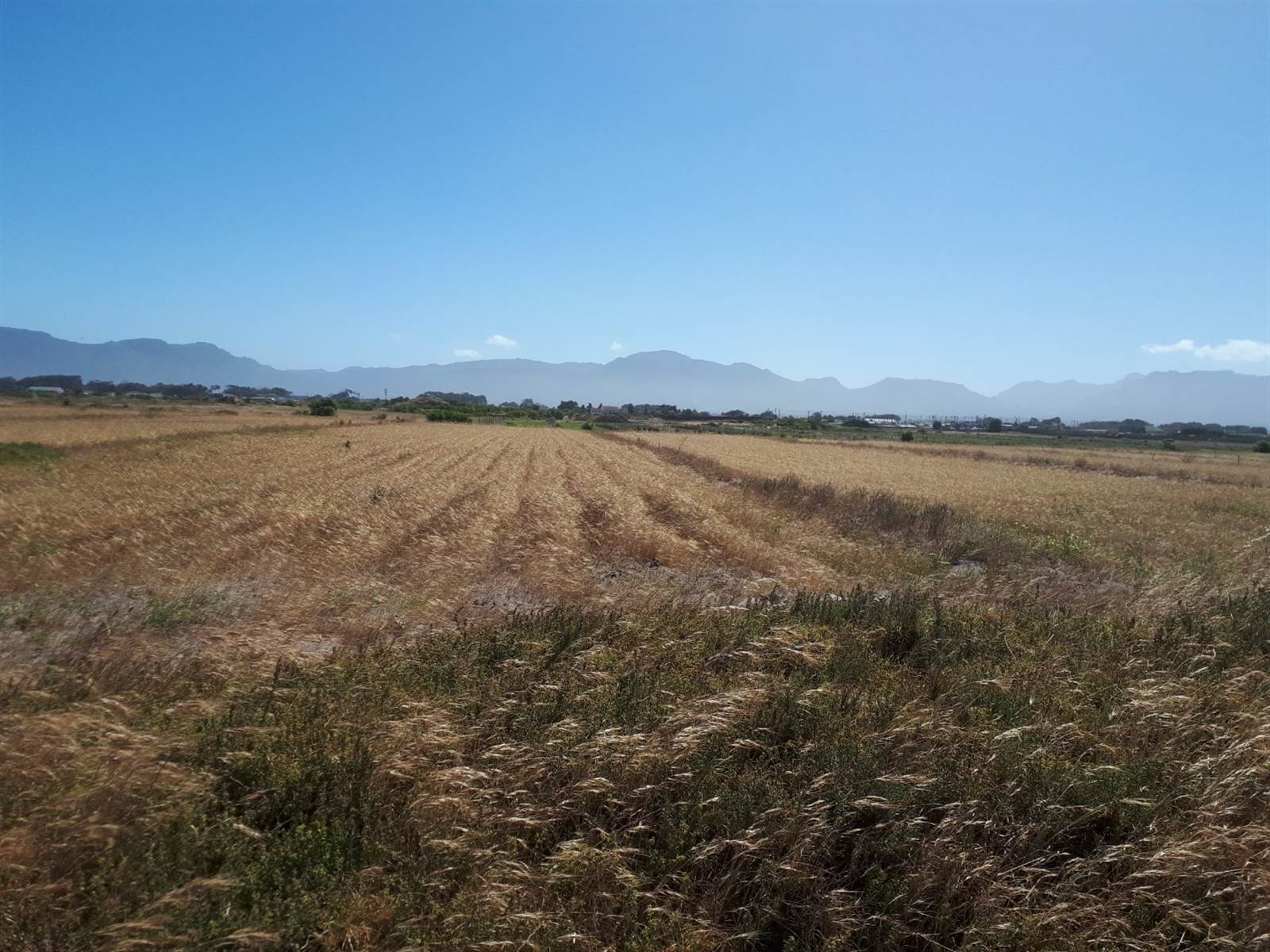 12 ha Land available in Philippi photo number 4