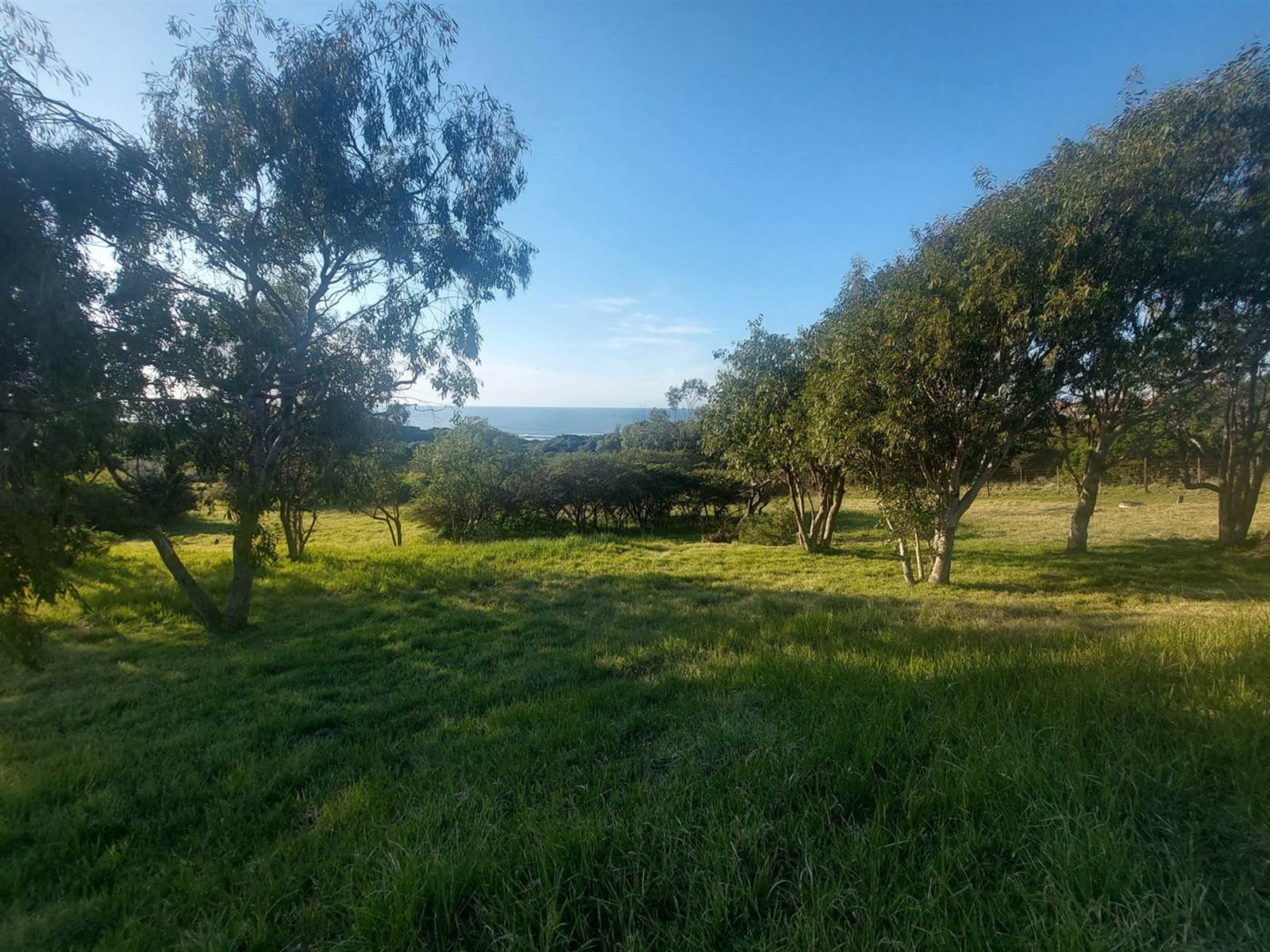 896 m² Land available in Cintsa photo number 5