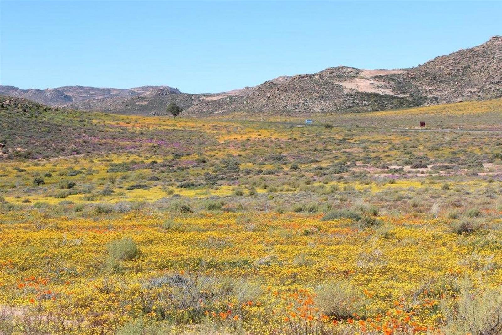 102.5 ha Land available in Springbok photo number 1