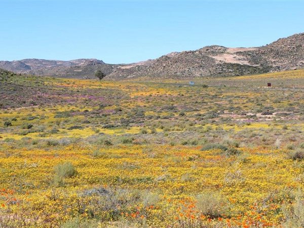 102.5 ha Land available in Springbok