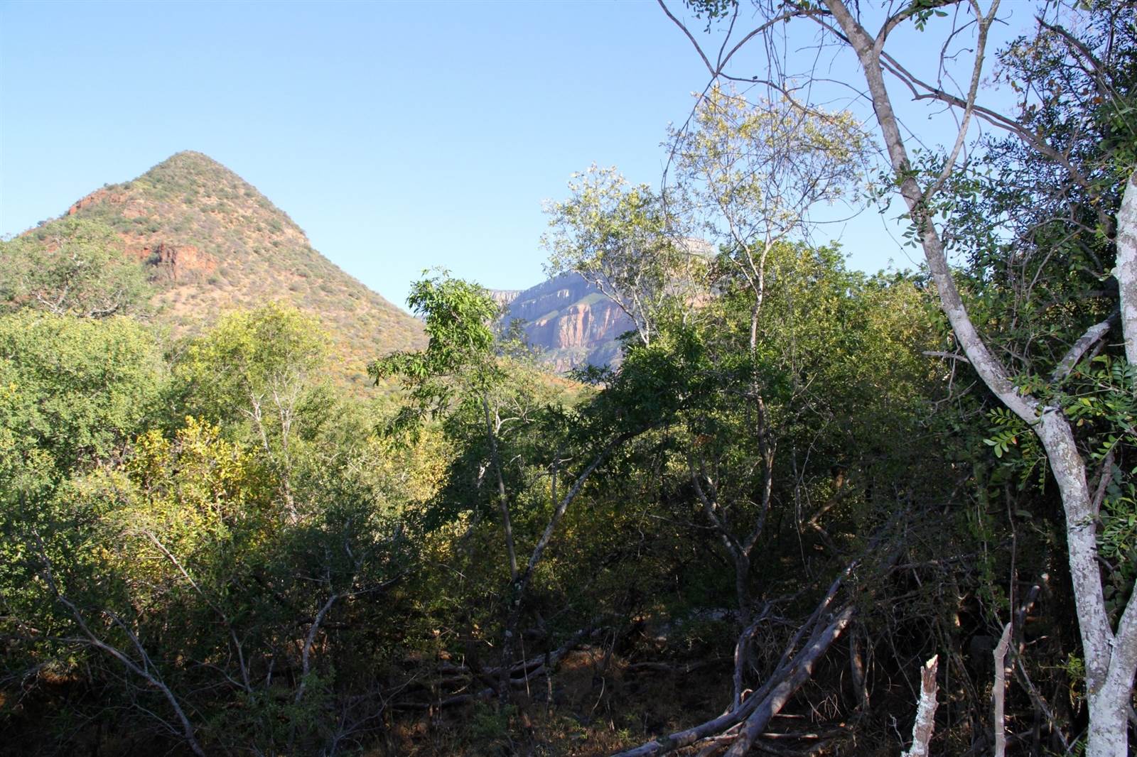 1 ha Land available in Blyde River Nature Reserve photo number 2