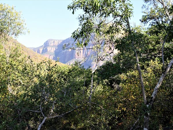 1 ha Land available in Blyde River Nature Reserve