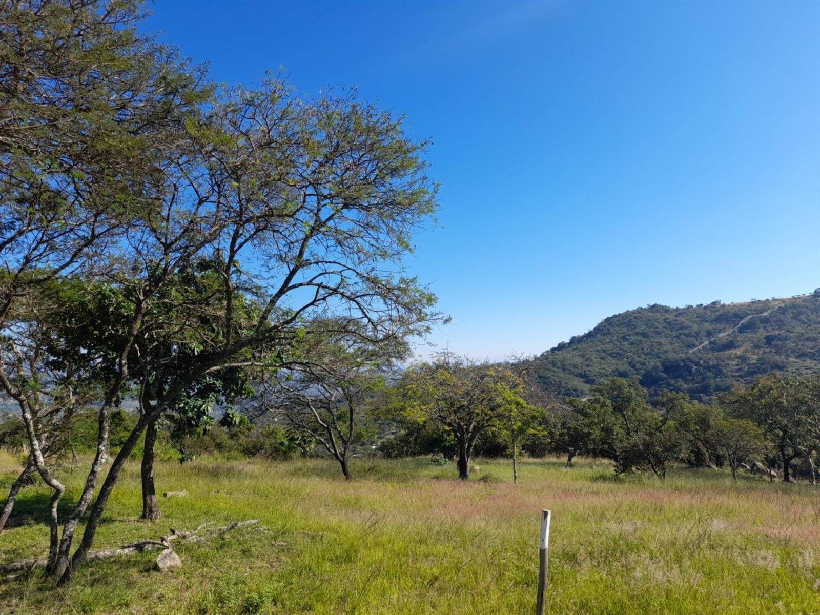 1808 m² Land available in The Rest Nature Estate photo number 1