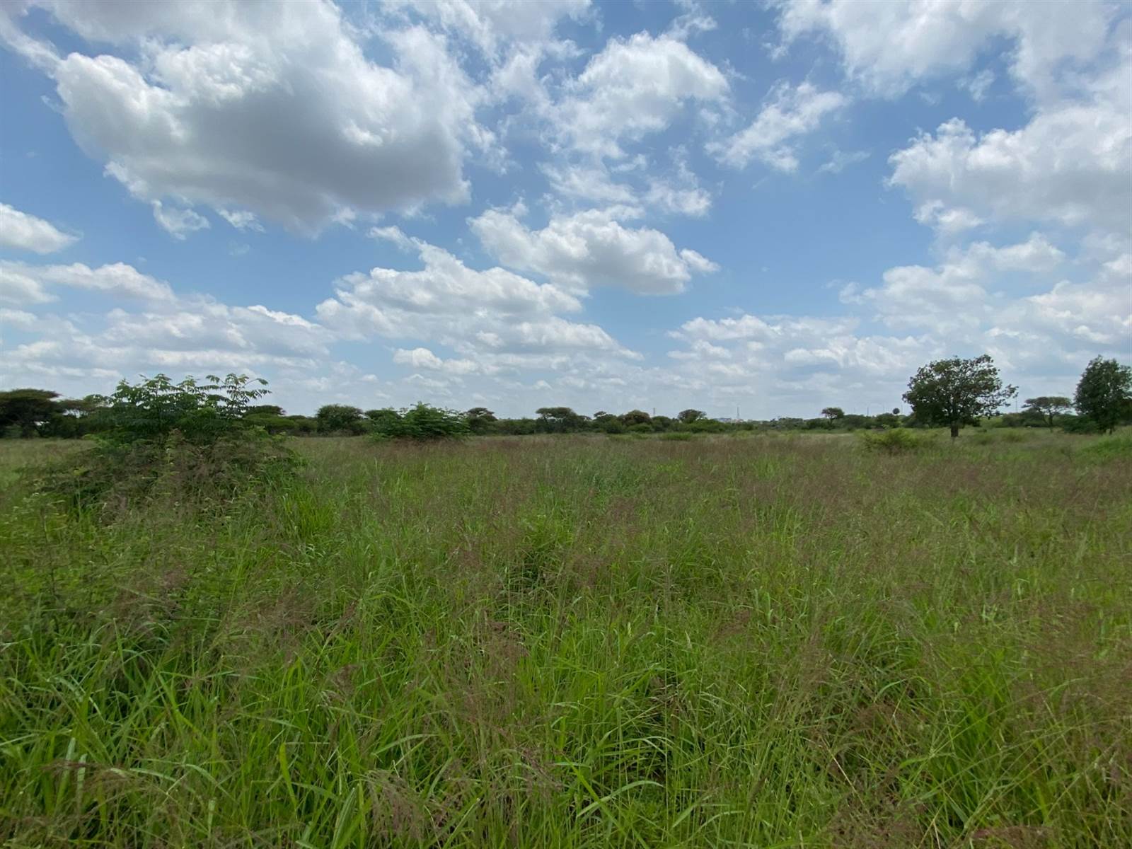 363 m² Land available in Polokwane Central photo number 2