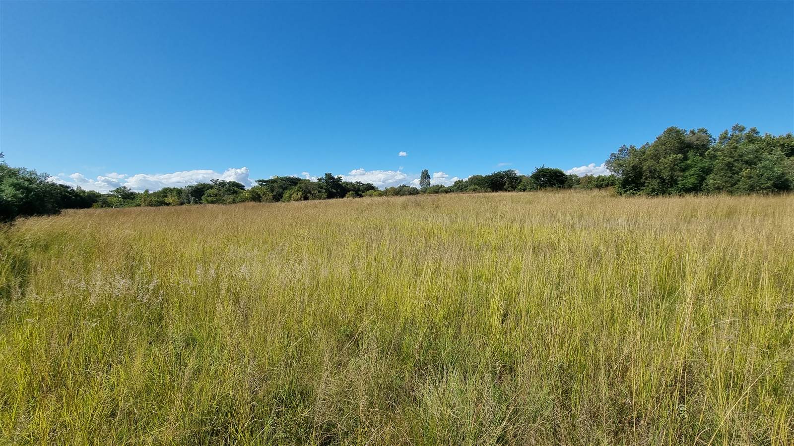 3318 m² Land available in Blair Atholl Estate photo number 5