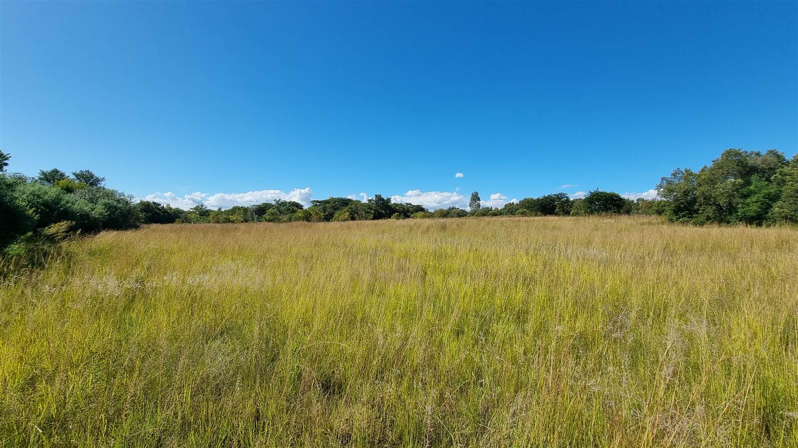 3318 m² Land available in Blair Atholl Estate photo number 6