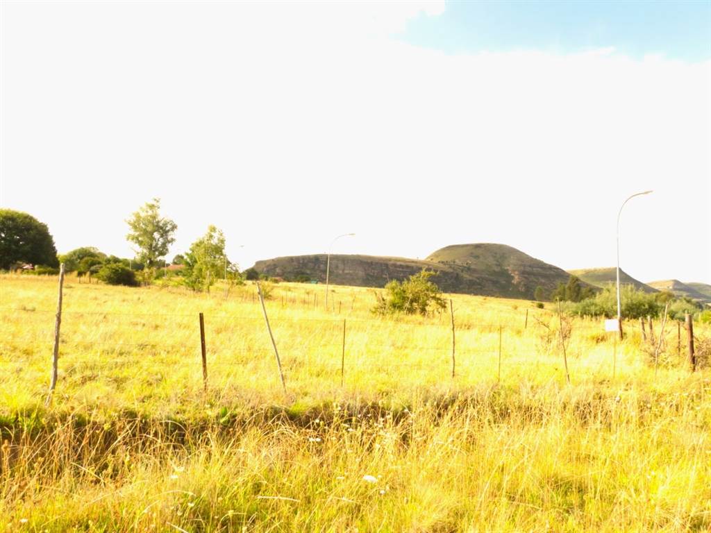 1698 m² Land available in Fouriesburg photo number 5