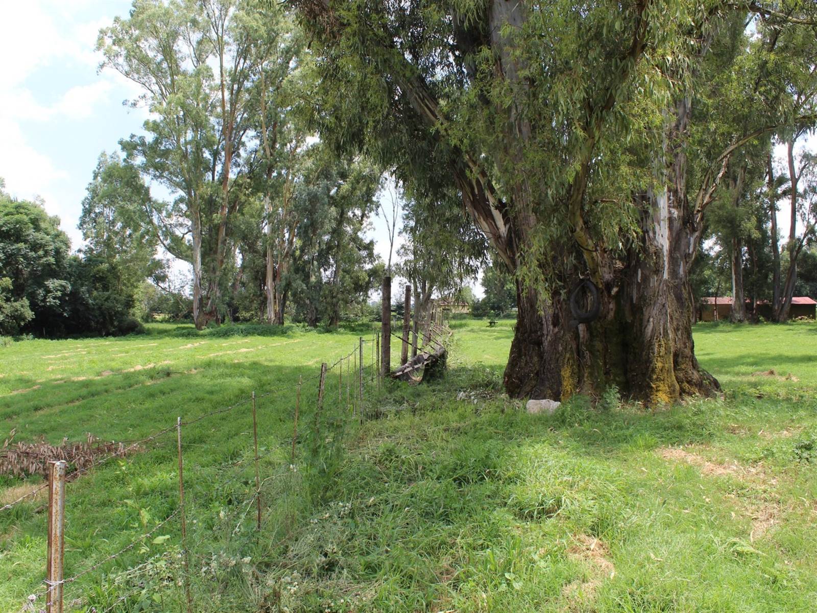 13 ha Farm in Potchefstroom Central photo number 23
