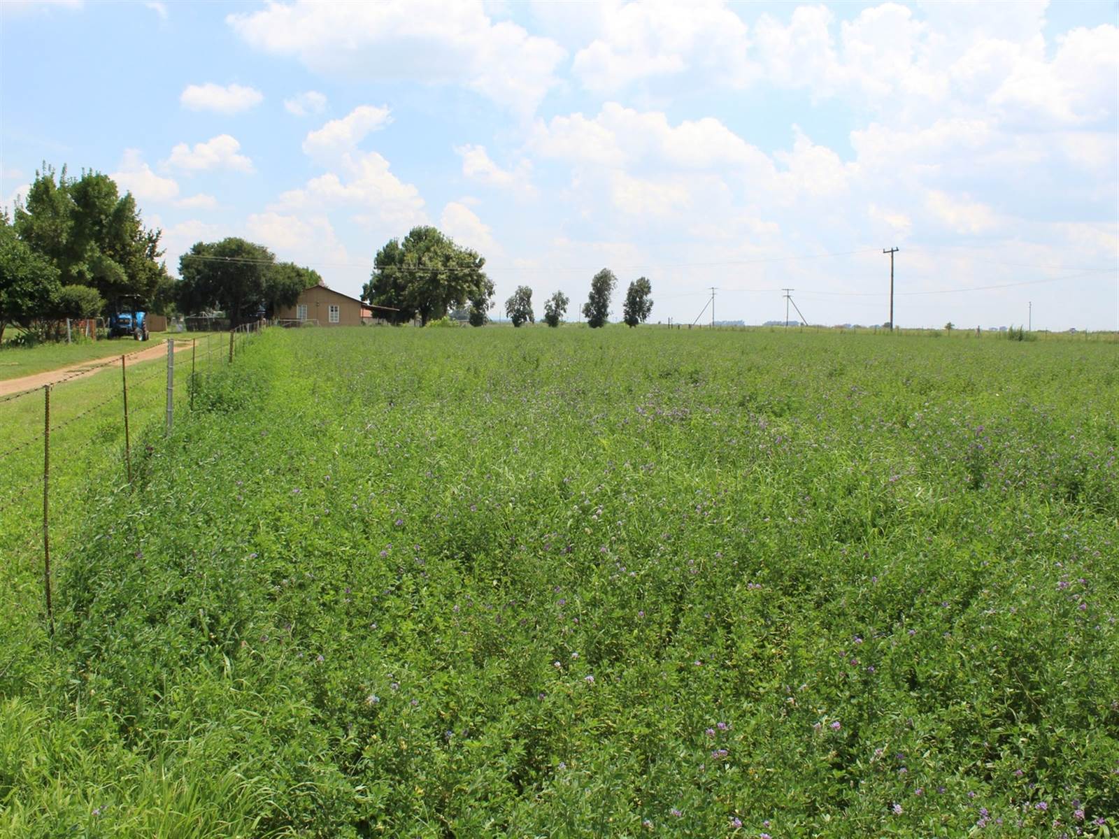 13 ha Farm in Potchefstroom Central photo number 27