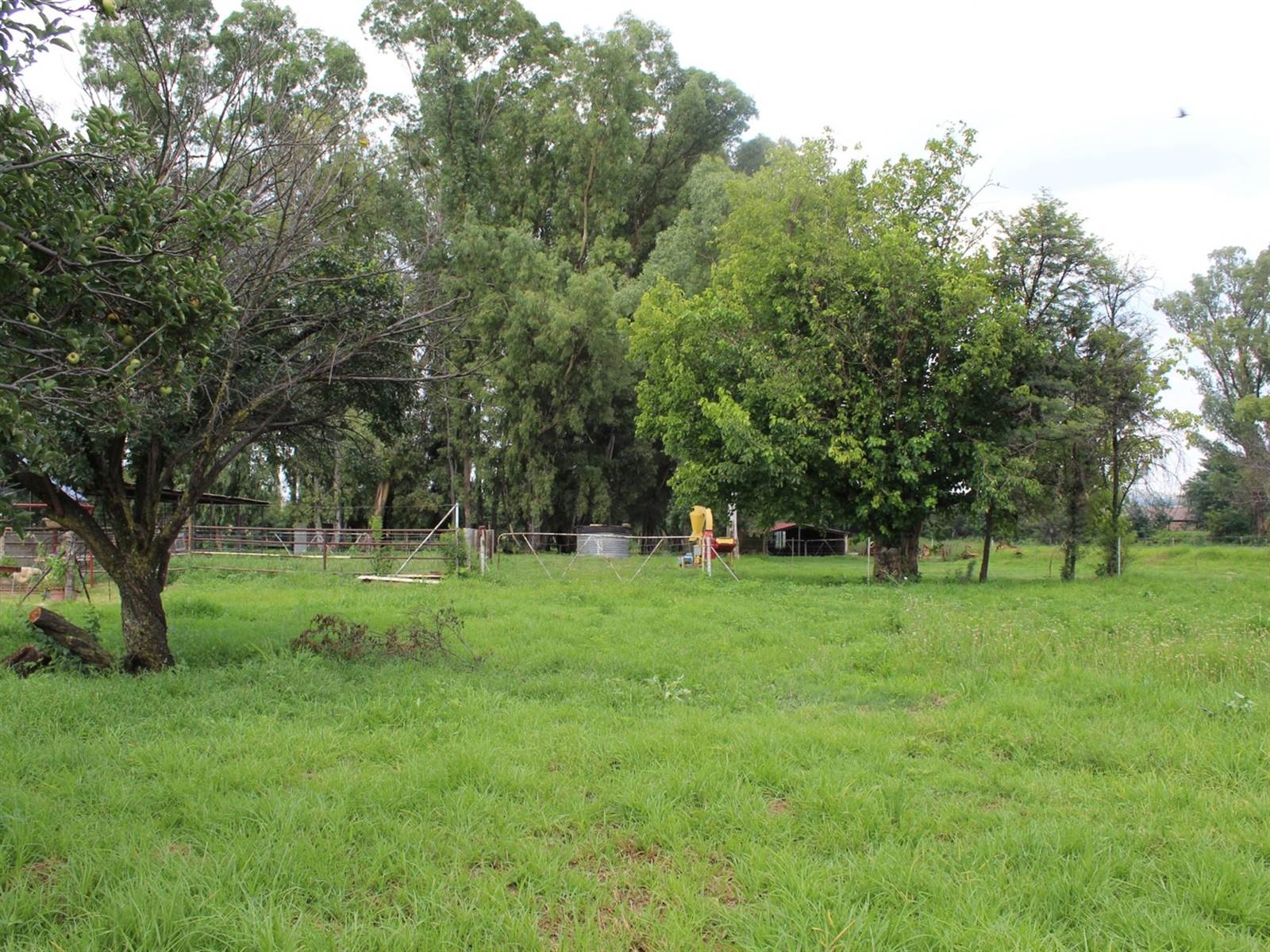 13 ha Farm in Potchefstroom Central photo number 22