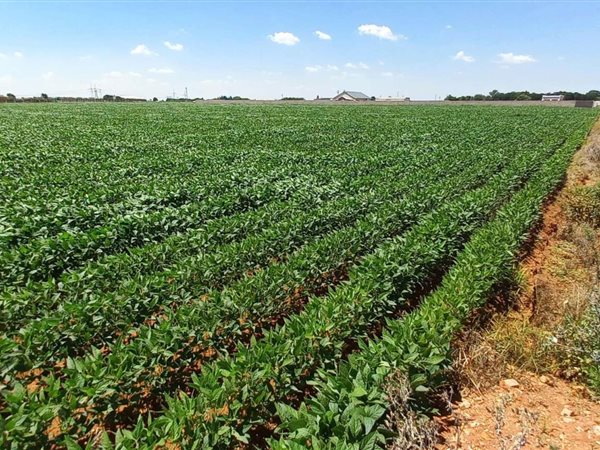 4.3 ha Land 4.3 ha Land