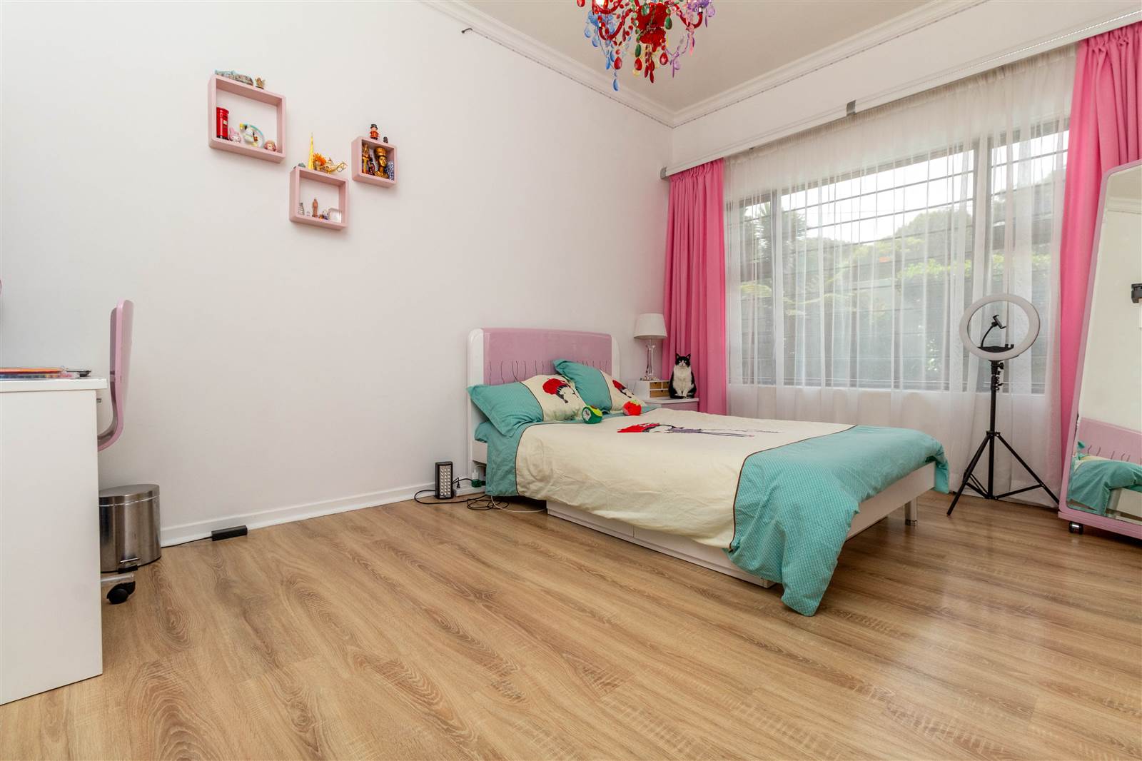 4 Bed House in Sydenham photo number 20